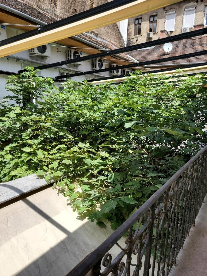 Klauzal19 Rooms Βουδαπέστη Εξωτερικό φωτογραφία